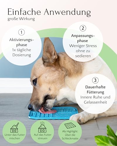 FAVLY – Relax Pulver Beruhigungsmittel für Hunde 250g – getreidefreies Ergänzungsfuttermittel zur natürlichen Beruhigung bei Stress & Angst – mit Melisse, L-Tryptophan & Passionsblume