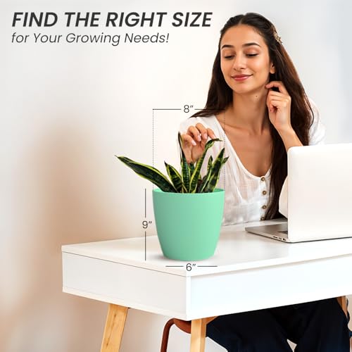 Image of YUCCABE ITALIA SHERA Stella 8 Inch Plastic Plant Pot for Home Decor Indoor Plant Pots for Living Room Plastic Flower Pot for Garden (Seagreen, 8 INCH - 6 Pcs)