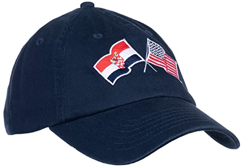 Image of Ann Arbor T-shirt Co. American Friendship Nations Flag Baseball Low Profile Dad Hat for Men Women