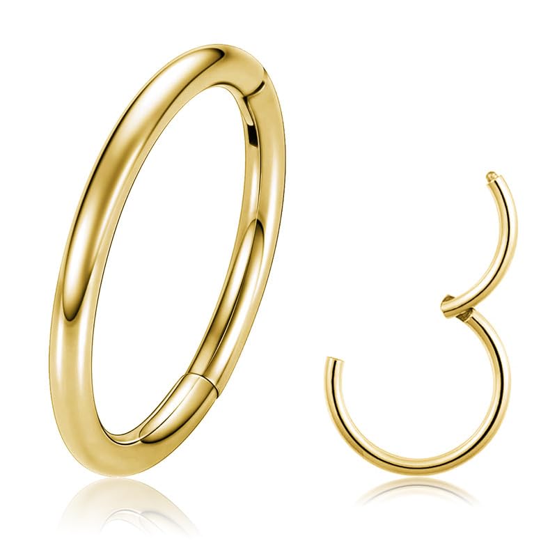20G 18G 16G Titanium Nose Ring Hoop, Cartilage Hoop Earrings for Women Men Silver