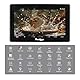 Portkeys BM5IV 5,5 Kamera Kontrollmonitor mit Touchscreen 2000nit, Dual-Screen Fokusmonitor mit HDMI/SDI, Kabelsteuerung für Sony Canon RED ARRI ZCAM Nikon BMPCC, Aluminiumgehäuse, Log-Modus