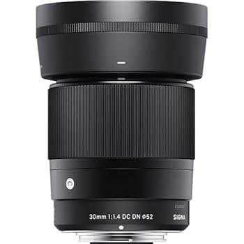 Amazon.com : Sigma 24-70mm f2.8 DG DN II Art + Sigma 30mm f1