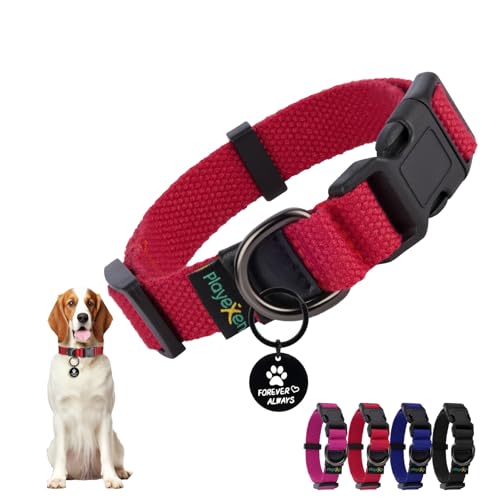 Collare Cane, Collare Regolabili in Morbido Cotone per Cani & Gatto Taglia Piccola Media Grande, Collari per Cane Personalizzato con Medaglietta Rimovibile, 25-40/2,0cm (S), Rosso