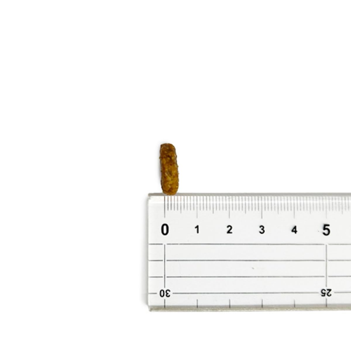 Amazon.co.jp: アカナ アダルト ドッグ レシピ 全犬種 全年齢用