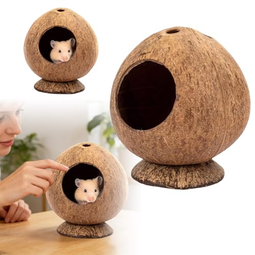 Generisch 2026 Lit pour hamster en noix de coco – Une cachette naturelle pour les petits animaux avec un sol stable, convient aux cochons de hamsters, kaki, 18 x 12 x 12 cm