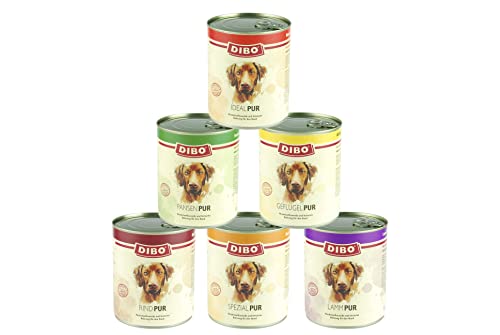 DIBO – PUR PANSEN (Pansen/Blättermagen), 6 x 800g-Dose, Reine Fleischdosen aus frischem und natürlichem Fleisch Qualität