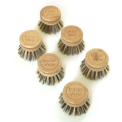 Image of 6 pcs Wooden Dish Brush Replacement Heads Made of Renewable Bamboo Wood and Natural Bristle Fiber, Durable, Long Lasting (Palm /Coconut Fiber Bristles)