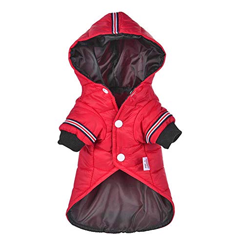 Manteau chiens contre la pluie veste hiver pour Chihuahua M