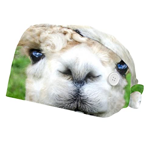 Chapeaux de travail alpaga casquettes bouffantes respirantes mixtes x2