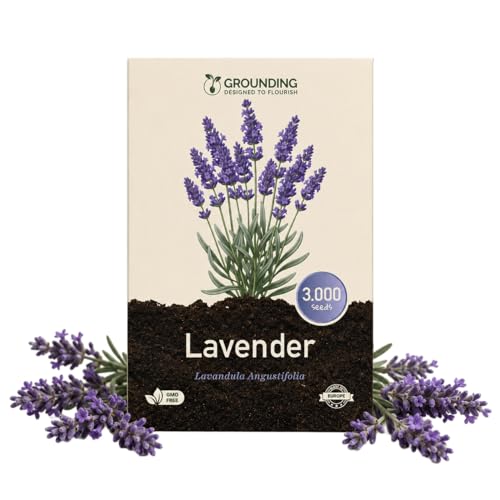 Grounding - Graines de Lavande (Lavandula angustifolia), 3000 graines - Parfum intense et floraison violette, idéale pour jardin et pot - Qualité Européenne