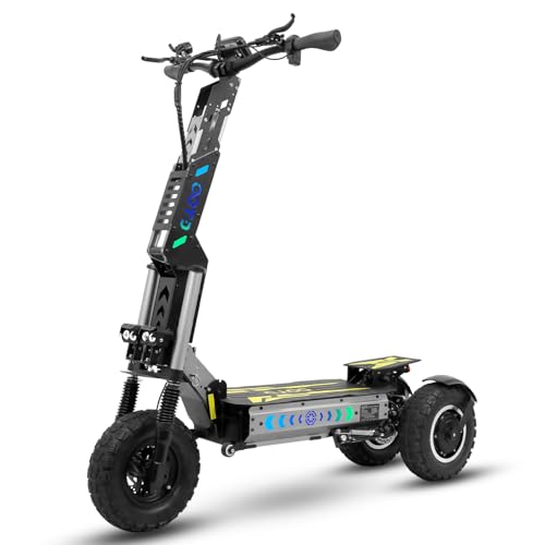RAYI T30 Elektro-Tretroller für Erwachsene, leistungsstark, Akku 60 V, 31,2 Ah, Reichweite 100 km, Räder 13 Zoll, Geländewagen, doppelte Federung, Elektroroller für Erwachsene