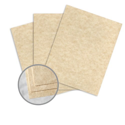 Astroparche Aged Card Stock - 8 1/2 x 11 in 65 lb Cover Vellum 30% Recycled 250 per Package