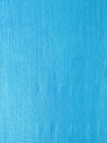 Image of Home Sizzler Polyester 3 Piece Long Door Curtain Set, 9 feet (2 Aqua, 1 Cream)