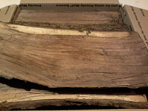 Walnut Wood 12" Logs for Smoking BBQ Grilling Cooking Smoker Priority Shipping