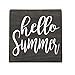 Hello Summer Small Rustic Wooden Sign 5"X5"