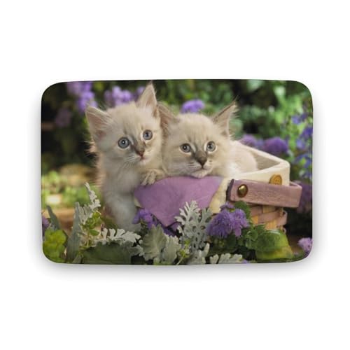 L   oX}bg z/唻 փ}bg  O   \ ~ Aj LN^[ @}bg   ʏ