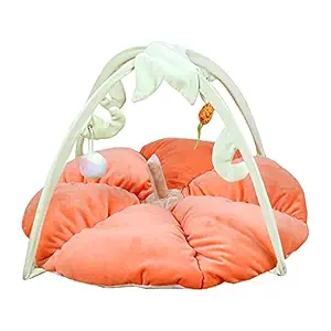 Belity Cat Play Mat with Hang Pendant Pet Bed Cat Tent with Activity Center Anti-Slip Bottom