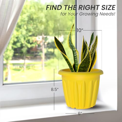 Image of YUCCABE ITALIA SHERA Floot 10 Inch Plastic Flower Pot 12 Piece Set of Round Shape Planter for Home Garden Seedling Planter for pots (Yellow)