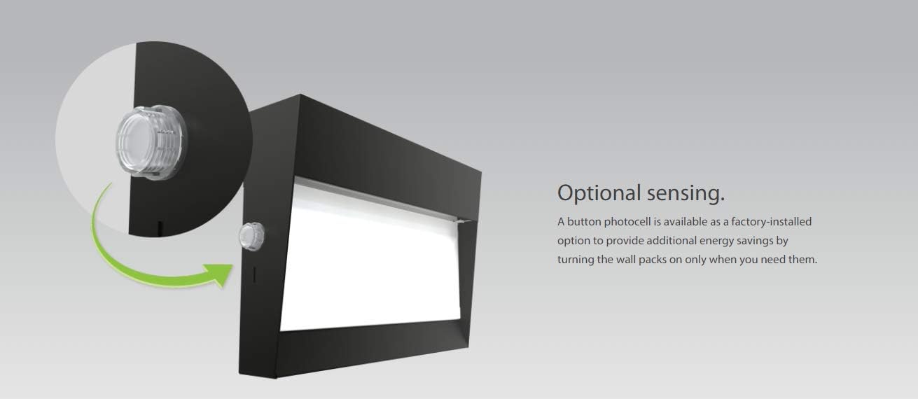 RAB Lighting W17-36L/PCU Outdoor, Bronze