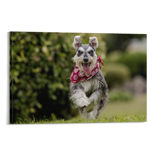 Toile Schnauzer 40x60 cm tableau decoration murale