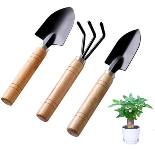 Mini set di attrezzi manuali da giardinaggio, 3 pezzi, piccola cazzuola da giardino, mini pala, rastrello a mano, set di attrezzi per piante da interno