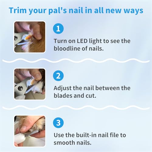Foydream Krallenschere für Hunde, Haustier Nagelknipser mit LED-Licht, Nagelfeile Krallenpflege für Mittlere & Kleine Hunde und Katzen, Nagelknipser Professionelle Mit Sicherheitsschutz