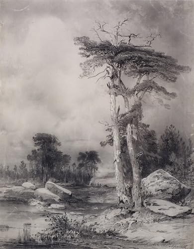 Tableau impressions d'art mural de pins par Aleksey Savrasov pour décoration chambre 60x90cm