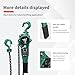 BTMPYLYT Water Green Industrial Lever Hoist, 1 Ton (2200 lbs) Capacity, 3 Meter/10 Ft Lift, Manual Hand Chain for Construction & Workshop