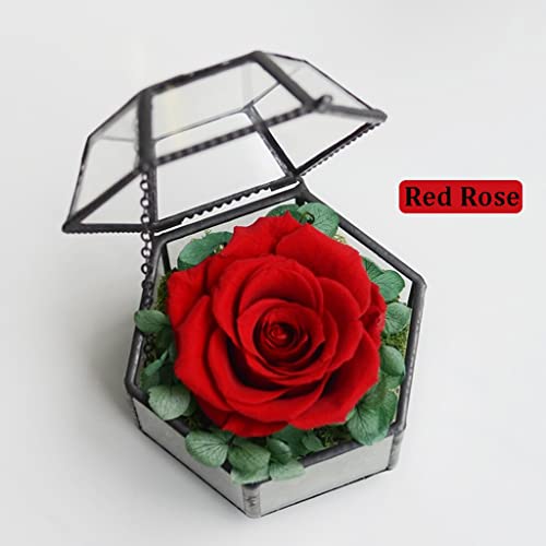 Caixa de anel de flores preservadas Rosas reais Flores artificiais em vidro Proposta de casamento e