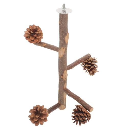 Abaodam �I�E���p�ؐ��~�܂�؃X�^���h ���ڂ�����^��]�u�����` �������g���[�j���O�������� �C���R �R���S�E�C���R�����^�� �V�я�