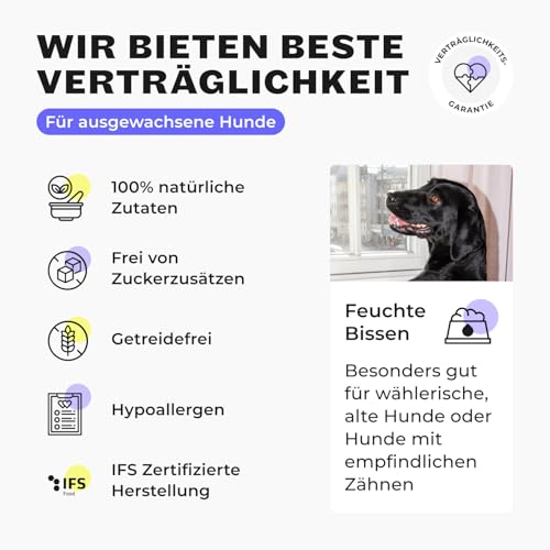 HEY HOLY Premium Nassfutter für Retriever | 18x 400g Hundefutter für ausgewachsene Retriever mit Lamm | Hochverträglich aus natürlichen Zutaten