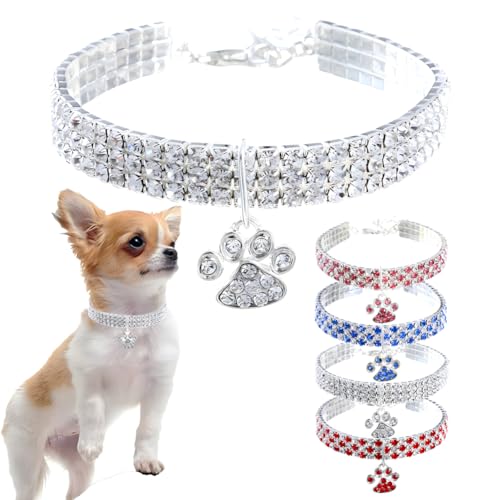 LL錢̎ p p CXg[ q̎ Ȏq ̎q 킢 LL LL NX^ _Ch ybg lbNX  qL L XXS XS XS XS S M  iAzCg L