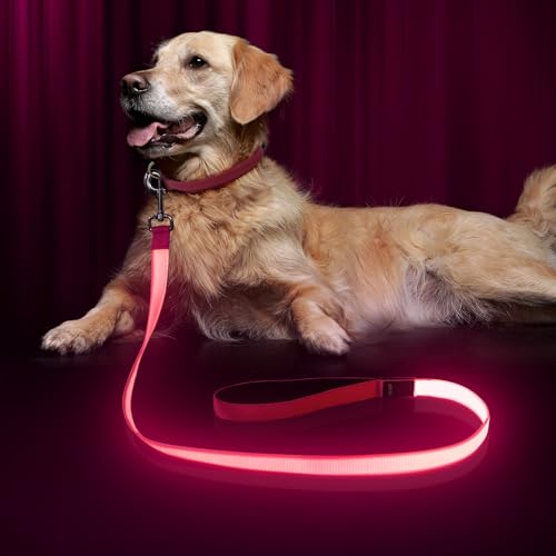 LED Hundeleine, Bpawser Light Up Hundeleine Micro USB wiederaufladbar, Nylon Gurtband leuchtende Sicherheit Standard Hundeleinen für Hunde 120 cm 4 Fuß (Rosa)