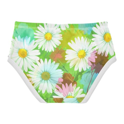 Toddler Underwear Floral 2t Cotton Cute Panties Girl Cartoon Kids Briefs Undies White Daisies Wildflowers Green2
