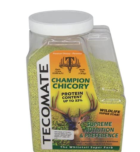 Tecomate Champion Chicory (3 LBS and 25 LBS)- Food Plot Seed