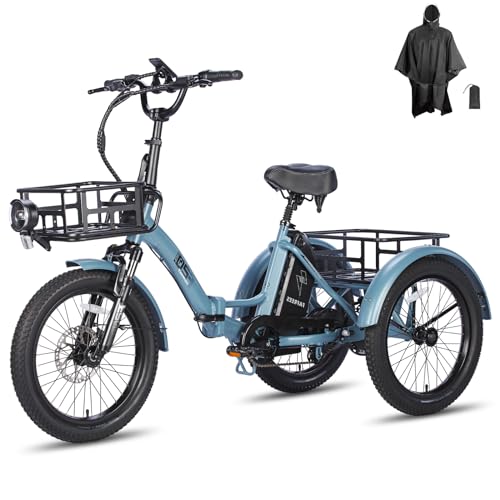 Elektro Dreirad Fur Erwachsene Mit Mittelmotor