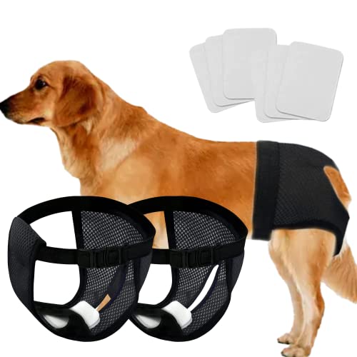 Find The Best Sanitary Pad For Dog Reviews & Comparison Katynel