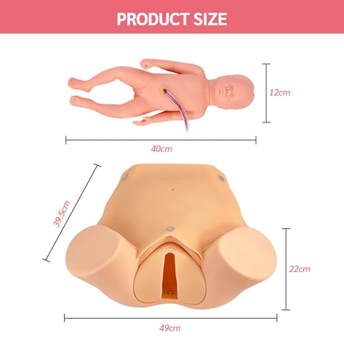 Image of Advanced Midwifery Training Childbirth Simulator, Life Size Gynecology Maternity Teaching Model Includes Models of Baby Uterus Amniotic Sac Pelvis and Placenta Umbilical for Medical Pratice Training
