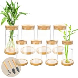 8 Pcs Plant Terrarium...
