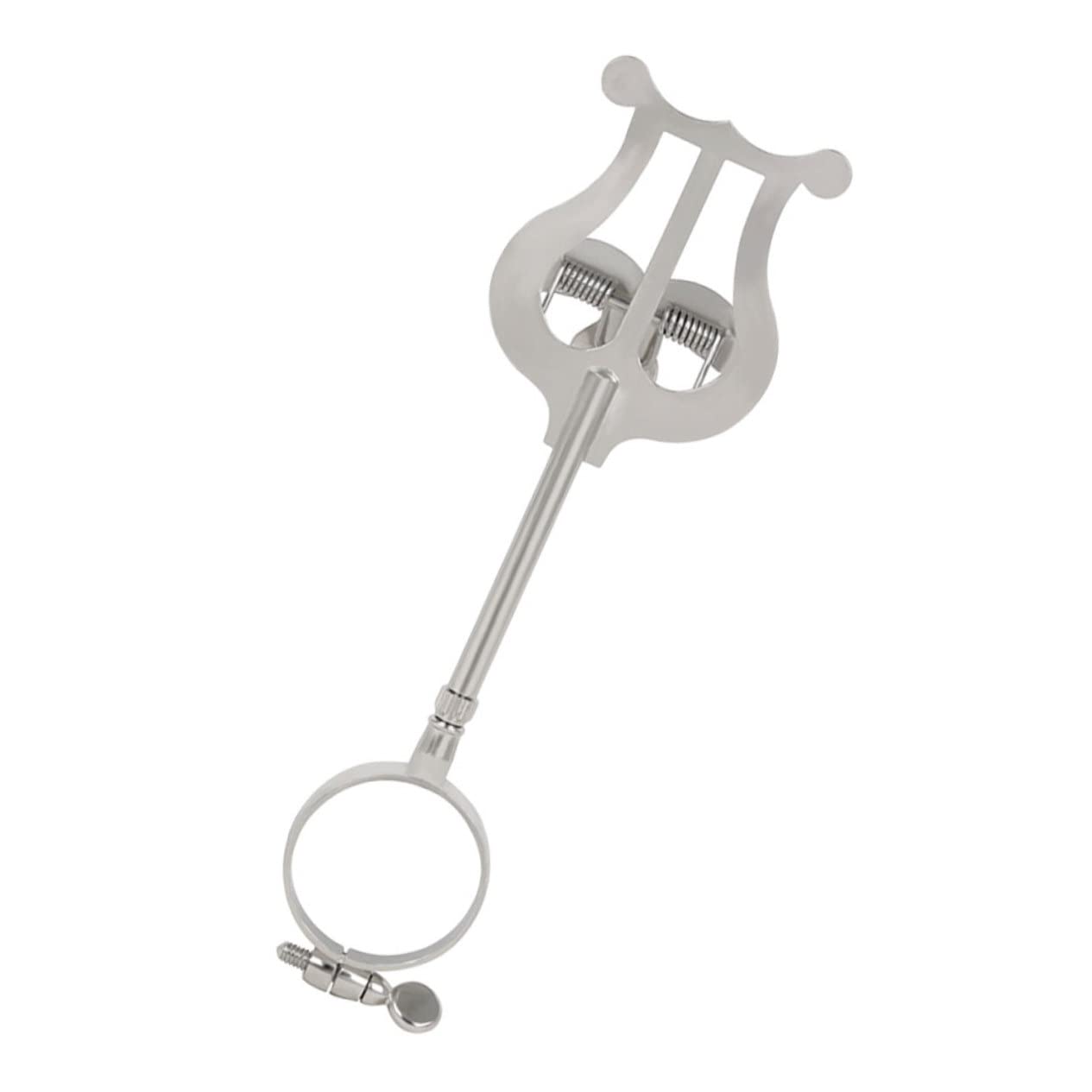 TOYANDONA Porta Spartiti Musicali per Clarinetto in Ferro, Clip Leggera e Portatile Design Semplice