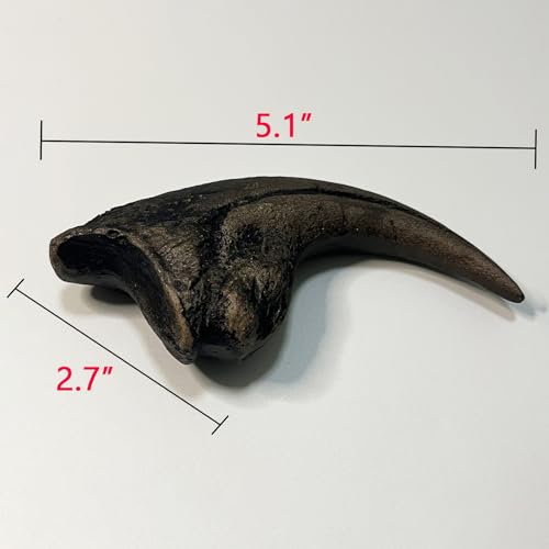 Image of 5.1 inches Nanotyrannus Dinosaur Life Size Foot Claw Fossil Replica