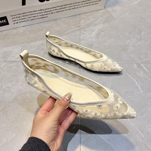 WENJIAZHIZHI Women Ballet Flats Pointed Toe Mesh Eyelets Ballerina Flats Comfortable Slip-on Dressy Loafers4