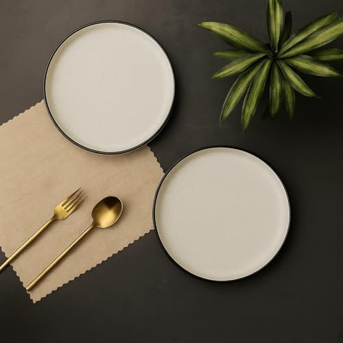 Image of Beyond Homes Ceramic Dinner Plates (Black and White), Set of 2