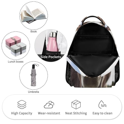 Cute Funny Donkey Backpack for Men Women, Durable Small Backpack Casual Lightweight Daypack for Travel Bag3