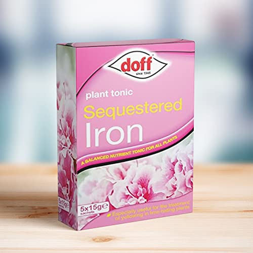 Doff Plant Tonic Sequestered Iron With VR Angel 1 Pair Non-Sterile Gloves Balanced Nutrient Tonic For All Plants, Designed to Aid The Greening Up of Yellowing Plant Leaves 5 x 15G Sachets