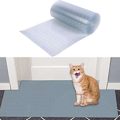 Find The Best Cat Scratch Carpet Protector Reviews & Comparison Katynel