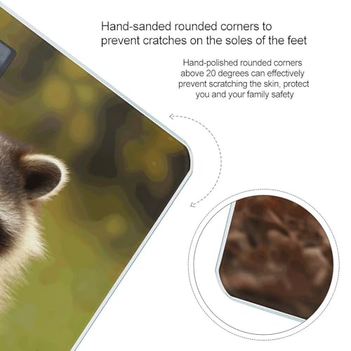 Báscula digital para baño Raccoon Smart Body Weight miniatura 4