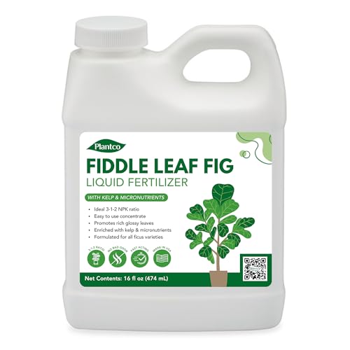 Fiddle Leaf Fig Fertilizer 3-1-2 - Liquid Fertilizer...