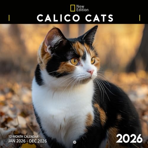 Calico Cats 2026 Calendar: Spotted Felines Full of Personality | Kalender Calendario Calendrier