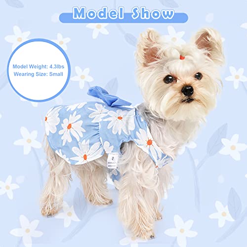 Dog Dresses For Small Dogs Girl, Cute Puppy Dress, Yorkie Chihuahua Dress, Summer Dog Clothes, Cat Clothing, Doggy Outfit, Blue Sunflower Pet Apparel Female (Small) #TOP2